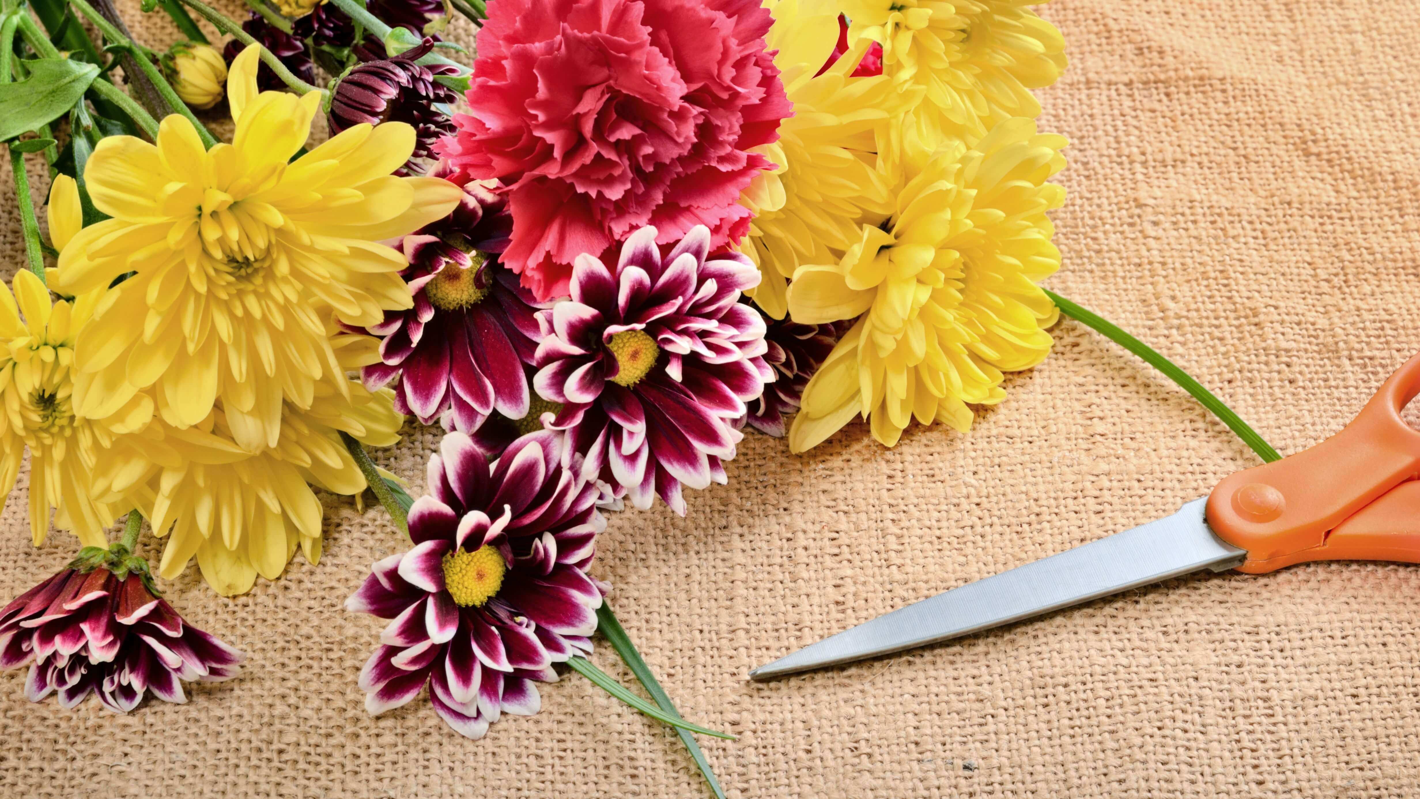 Horticulture