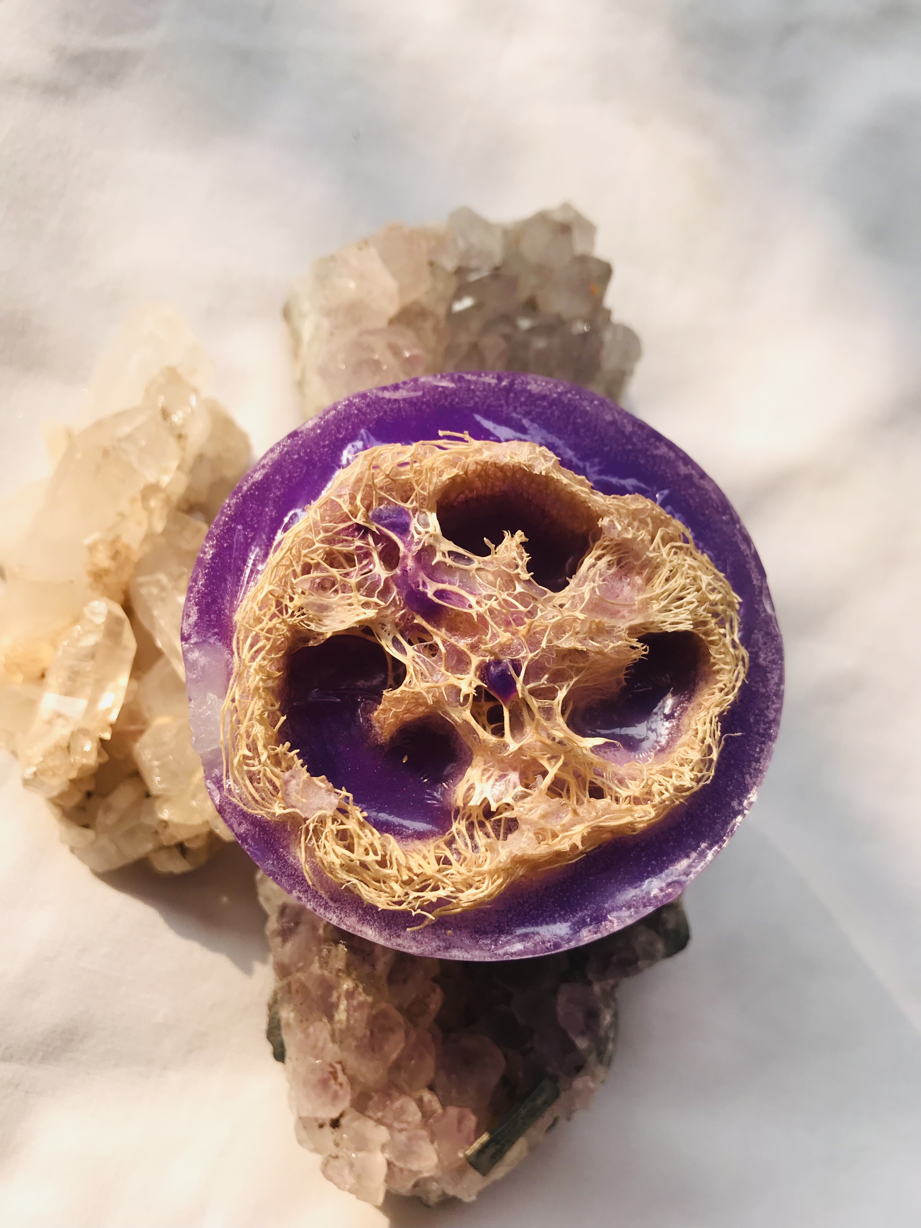 Blueberry Loofah