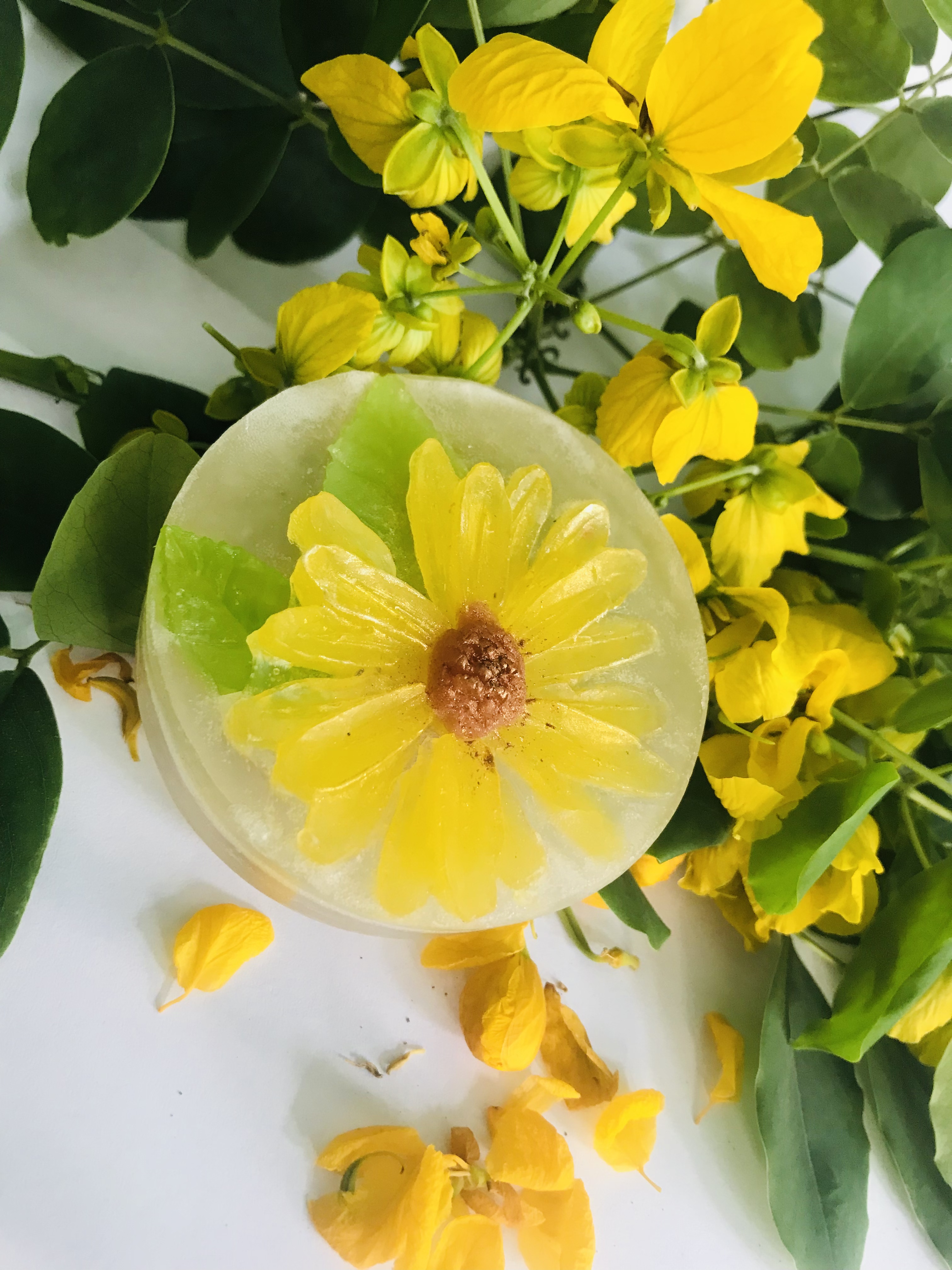 Daisy Dream