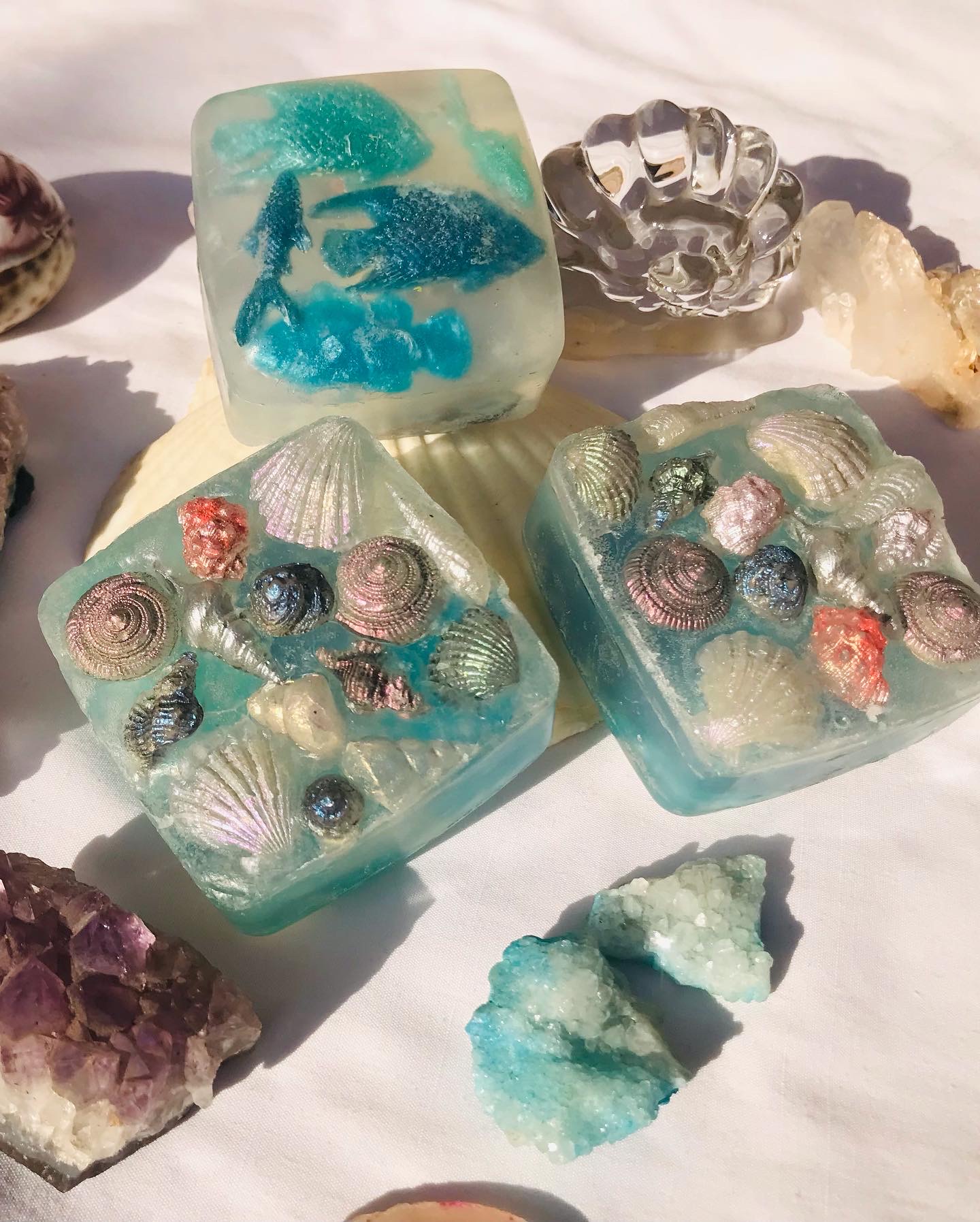 Coral Reef