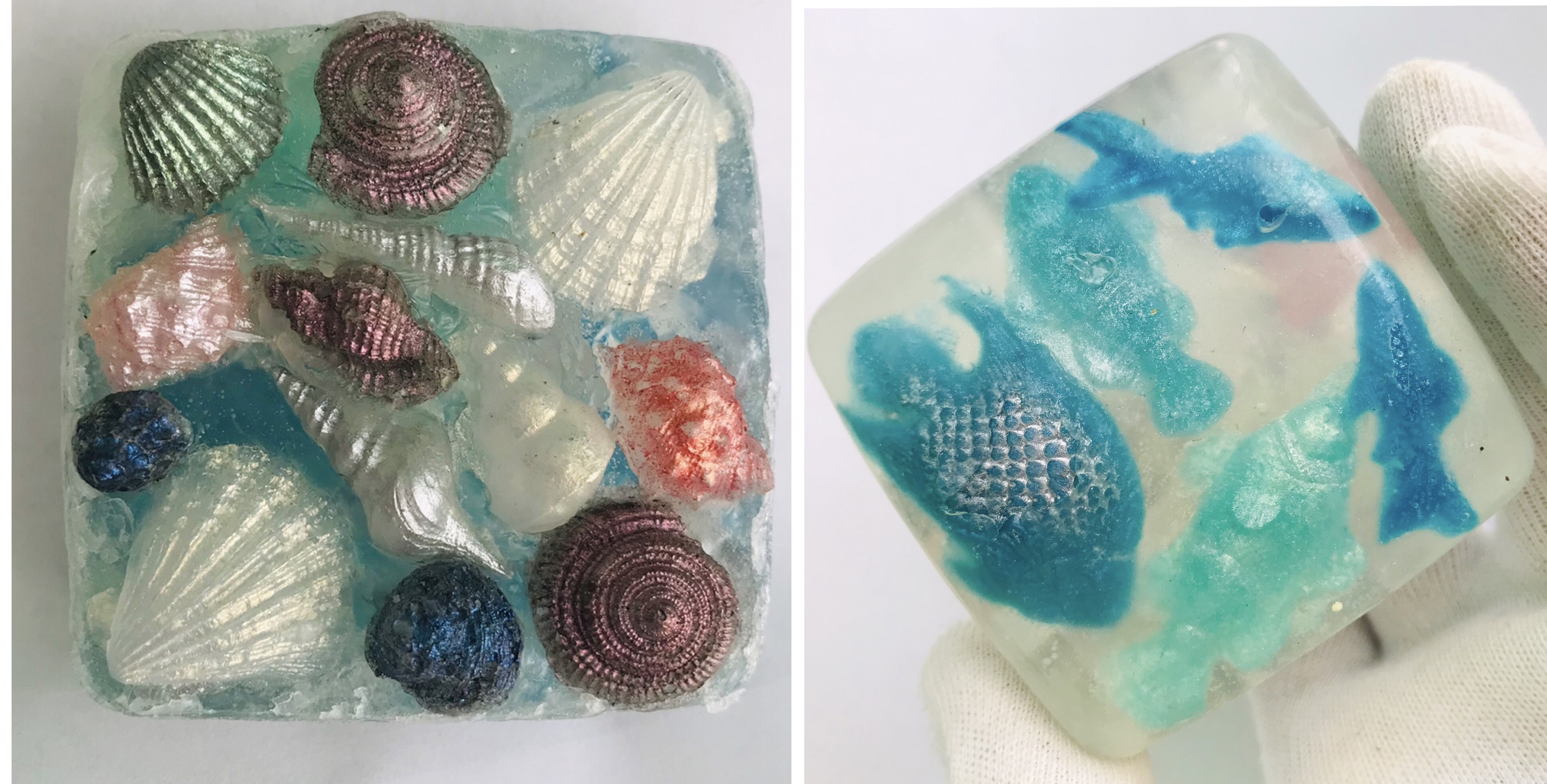 Coral Reef