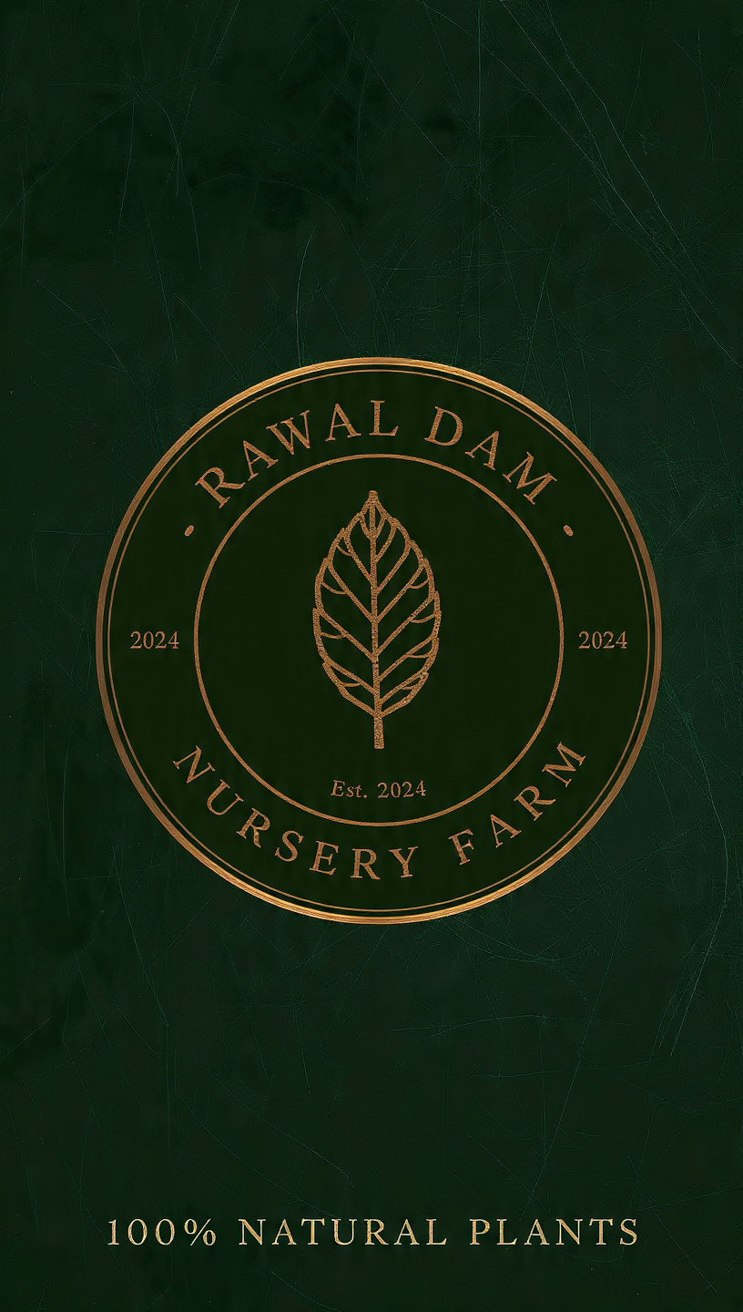 Rawal dam nursery farm